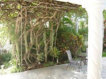 Baldwin'S Guest House Cozumel Eksteriør bilde